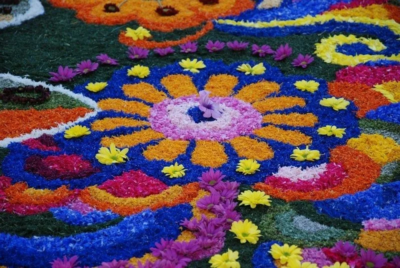Particolare di un tappeto floreale delle Infiorate di Spello